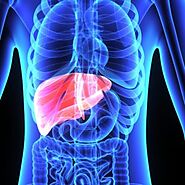 What to Look for in a Disability Lawyer for Liver Disease?