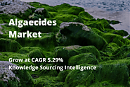 Algaecides Market Grow at a CAGR of 5.29% by Knowledge Sourcing