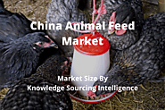 Market Size of China Animal feed Market by Knowledge Sourcing