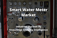 Industrial Outlook of Smart Water Meter Market by Knowledge Sourcing