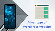 9 Advantages of Using WordPress for Developing Business Website