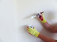 Learn to paint the Walls with these Expert Suggestions!