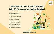 What is the Benefits After Learning Tally ERP 9 Course in Hindi or English?