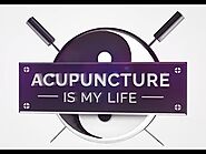 The Functions of the Bladder in Acupuncture and Chinese Medicine | Acupuncture is my Life