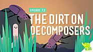 Crash Course Kids #7.2: The Dirt on Decomposers