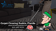 Carpet Cleaning Ruskin, Florida