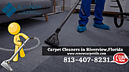 Carpet Cleaners in Riverview, Florida