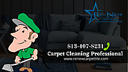 Carpet Cleaning Professional