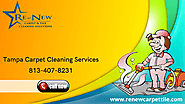 Tampa Carpet Cleaning Services