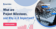 What are Project Milestones, and Why is it Important?