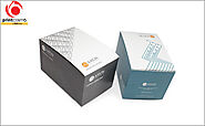 Custom Retail Packaging | Wholesale Retail Packaging Boxes