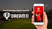 Everything You Need to Know Before Developing a Fantasy Sports App Like Dream11