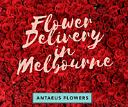 Flower Delivery in Melbourne