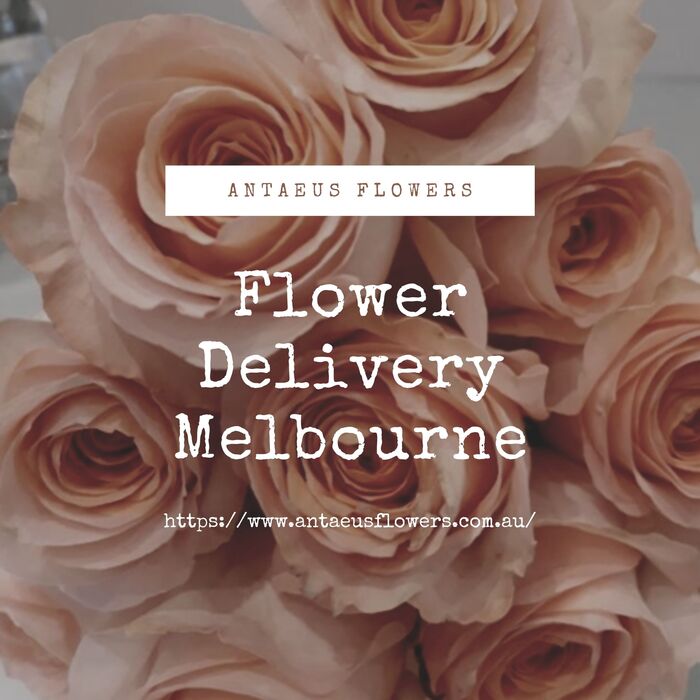 Flower Delivery in Melbourne Antaeus Flowers A Listly List