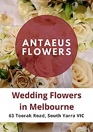 Antaeus Flowers - Find Best Florist in Melbourne
