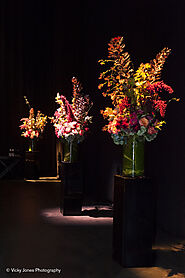 Best Event Florist in Melbourne | Antaeus Flowers