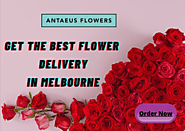 Get the Best flower delivery in Melbourne - 2020