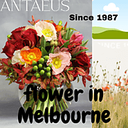 Website at https://www.antaeusflowers.com.au/