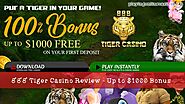 888 Tiger Casino Review - 100% Bonus plus 88 Free Spins