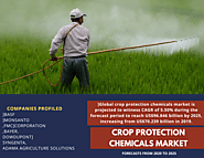 Crop Protection Chemicals Market to reach US$96.846 billion by 2025