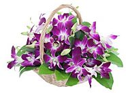 Online Florist Shop | Online Flowers & Gifts Delivery in India