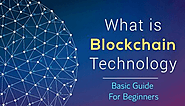 Unique Platforms Of Blockchain Is Basic Concept For A Beginner