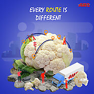 Every Route is Different - AWL India