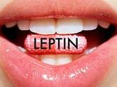 Leptin Resistance Diet Plan