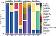 Fungal Microbiomes Associated with Green and Non-Green Building Materials