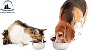 Pet owners can get best Nutrition Service now from our Vet Clinic in Kingston