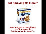 Cat Spraying No More Reviews - Stop Cat Spraying By Sarah Richards