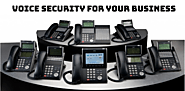 Why Do You Need Voice Security For Your Business