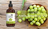 Buy Emblica Amla Fruit Oil Essential Natural Oils