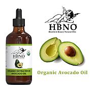 Shop Now! Organic Avocado Oil Wholesale Supplier from HBNO