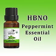Peppermint Essential Oil Wholesale and Bulk from Essential Natural Oils