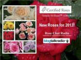 Certified Roses | Simply Brilliant™ Collection | Kordes 12/08 by Rose Chat Radio | Blog Talk Radio