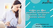 Why Do You Need WordPress Development Services For Your Business Website ?