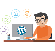 Offshore WordPress Development Company/Developers India & USA