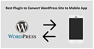 Best Plugin to Convert WordPress Site to Mobile App | WP Plugin