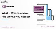 What is WooCommerce, and Why Do You Need It?