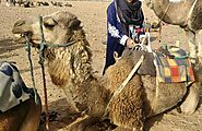 2 Day Sahara Desert Trip From Marrakech to Zagora - Shared Tours