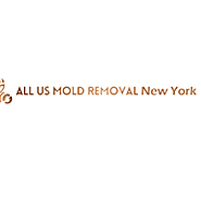 Closet Off Mold Removal NYC - Mold Remediation ServicesHome Inspector in New York, New York
