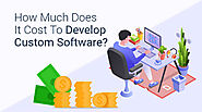 How Much Does Custom Software Cost: Factors Affecting Overall Cost