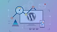 How To Maintain Your WordPress Database Nicely