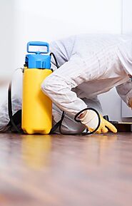 Home Pest Control Services in Fairfax VA