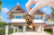 PROFESSIONAL PEST CONTROL IN FAIRFAX VA