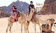 Safari Tours Por Egipto | Viajes Desierto de Egipto | Oasis Safari Siwa Farafra y Bahariya