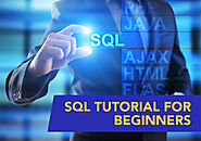 SQL Tutorial for Beginners | What is SQL (Structured Query Language)?