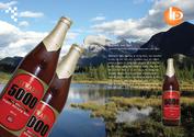 Haywards 5000 Beer | Haywards 5000 | SABMiller Haywards 5000