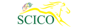 Business Launch Methodology Consultant | scico.in